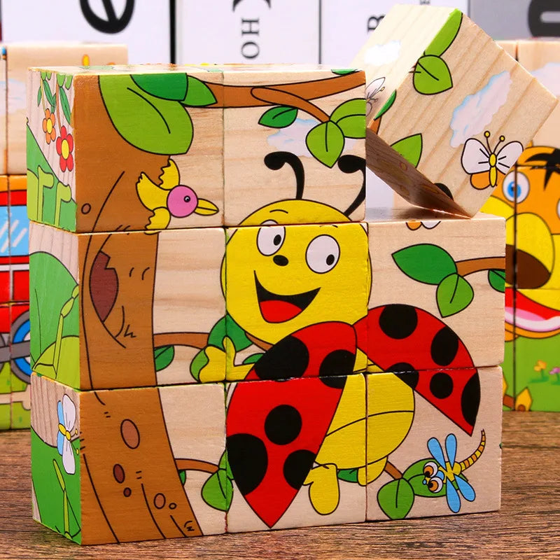 Baby Toys Wooden Blocks, Six-Side Cube Jigsaw Puzzles